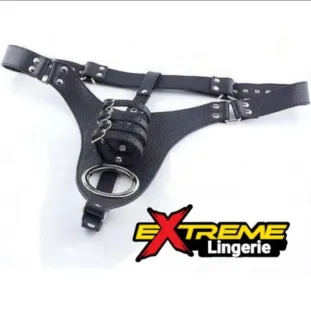 بانتي الفحوله 